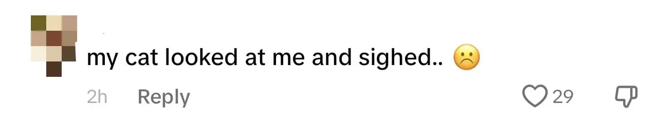 M'sian Family Celebrates Cat's Birthday At Louis Vuitton, Gets A LV Collar & Self Portrait comment 3