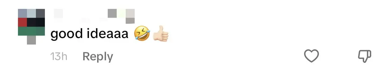 "Good Idea!"- Netizens Amused By M'sian Family's Cat Cutouts They Brought To The Wedding comment 2