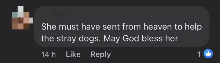 Kind Makcik Seen Feeding Stray Dog, Earns Praise From M'sian Netizens comment 1