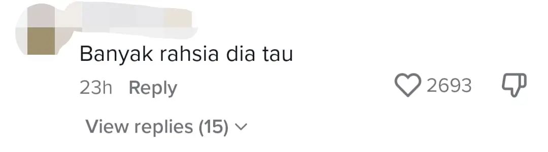 Anwar Ibrahim's Cat Named Billy Warms The Hearts Of Reporters & Netizens