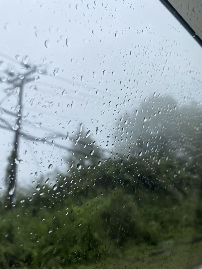 M'sia Will Have Cold And Chilly Weather Until Feb 2023, Say Experts