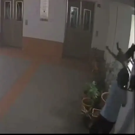 S'porean Boy Flings Cat Off 22nd Floor, Enraged Netizens Demand Justice