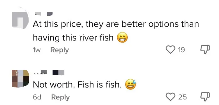 SG TikToker Spends RM3300 Eating Sarawak River Fish But Netizens Feel It Isn't Worth It comment 1