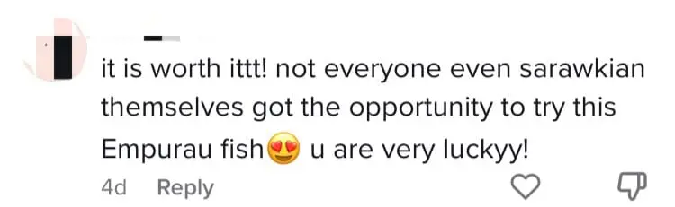 SG TikToker Spends RM3300 Eating Sarawak River Fish But Netizens Feel It Isn't Worth It comment 2