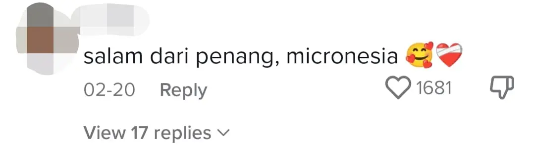 "Salam From Micronesia" — M'sians Troll American Who Mistook Jalur Gemilang As Micronesia comment 2