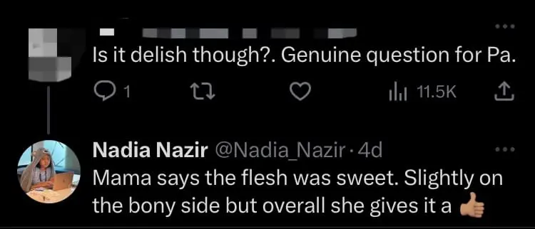 M'sian Woman's Parents Fry And Consume Pet Koi Fishes After They Died Due To Power Trip comment 3