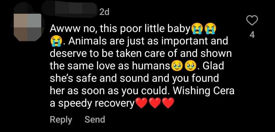 M’sian Man Hits Puppy Over 10 Times With Stick, Threatens To Hit Those Who Intervene comment 1