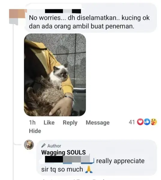 Injured Cat Spotted Bleeding At KLIA, Gets Rescued And Adopted By Kind M'sian comment 