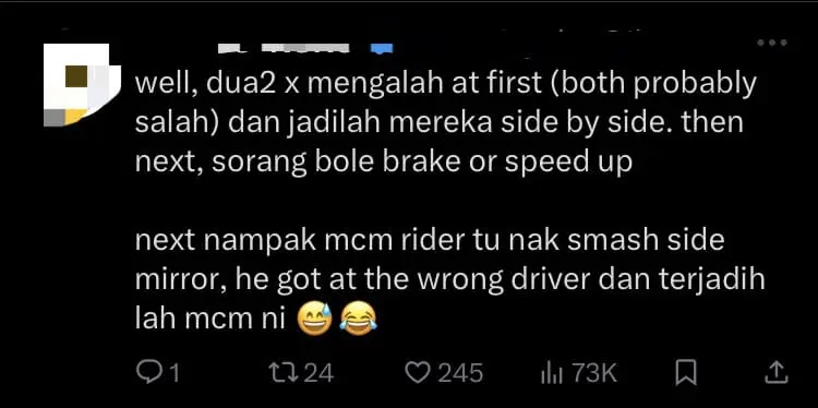 Tesla Driver Rams Into M'sian Motorcyclist Who Hit Side Mirror Out Of Anger comment 1