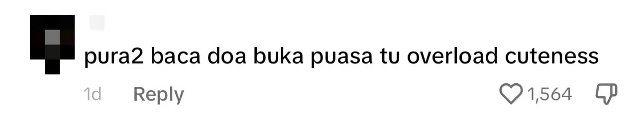 M'sian Chinese Women Gather To Buka Puasa At Putrajaya Square & It's Too Cute comment 3