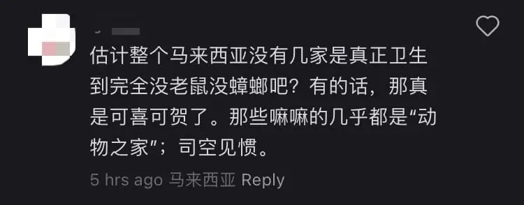 M'sian Student Shocked To See Giant Rat At Zhap Fan Stall In Sg Long comment 3