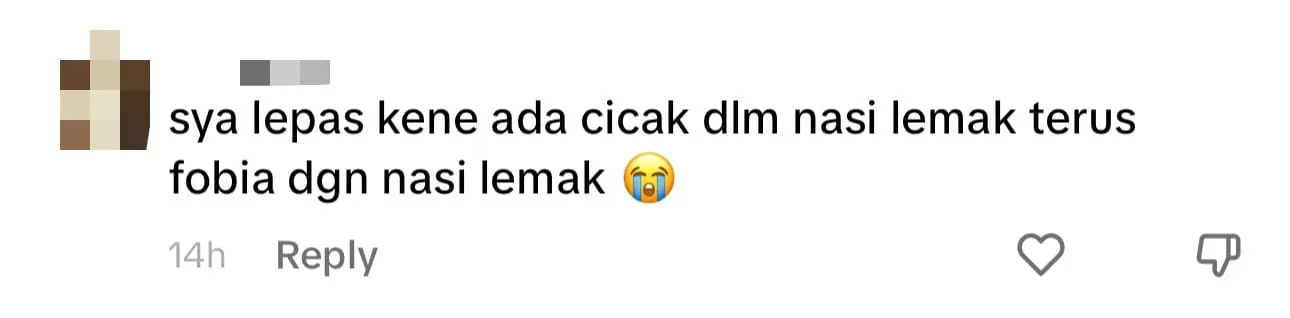 M'sian Man Disgusted To Find Egg Yolk Filled With Maggots Inside Nasi Lemak comment 1