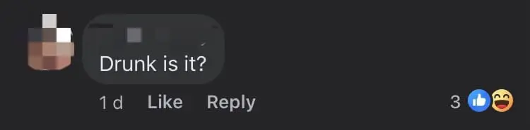 Tesla Rams Right Through A Brick Wall  Beside A Restaurant In Seri Kembangan comment 1