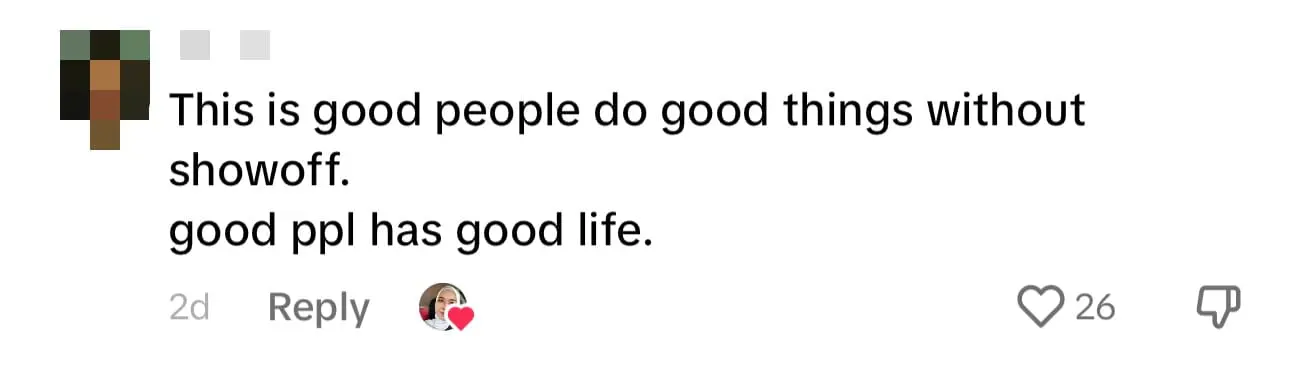 M'sian Aunty Wins Netizens' Hearts After Taking Deceased Cat Off The Road comment 1