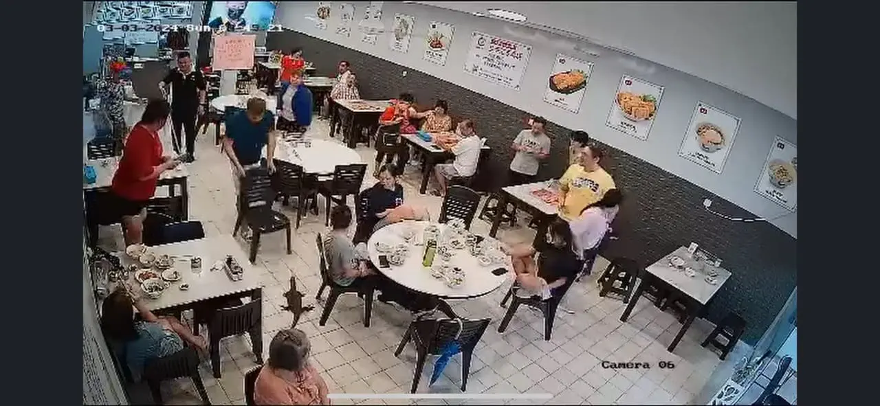 M'sian man uses chair to chase monitor lizard away at JB