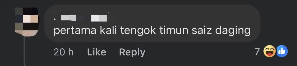 'Where's The Meat?!' — M'sian Woman Upset By Burgers Which Only Had Cucumbers Inside comment 1