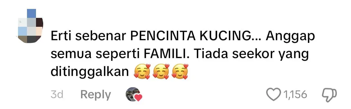 M'sian Man Rents Lorry Just To Move His 100 Cats From Ipoh To His New Home In Kedah comment 2