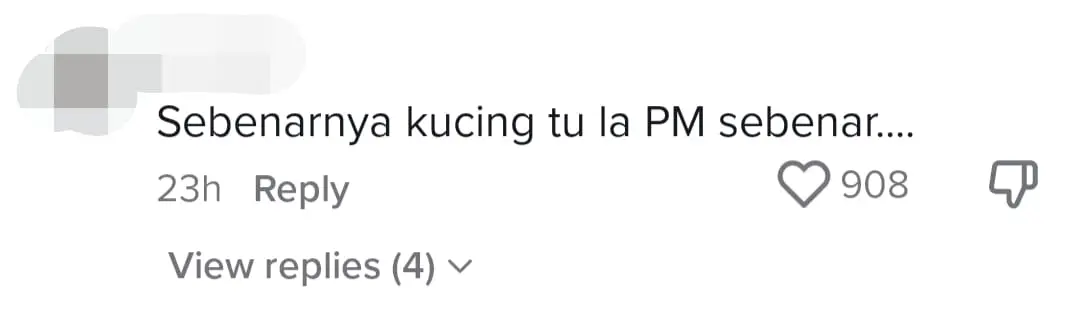 Anwar Ibrahim's Cat Named Billy Warms The Hearts Of Reporters & Netizens