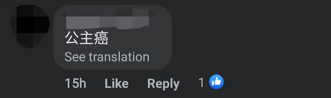 M'sian Woman Who Only Dined At Cafés Complains About 'Disgusting' Food At Hawker Stall comment 2