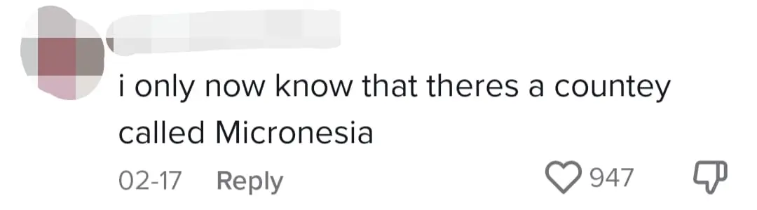 "Salam From Micronesia" — M'sians Troll American Who Mistook Jalur Gemilang As Micronesia comment 4