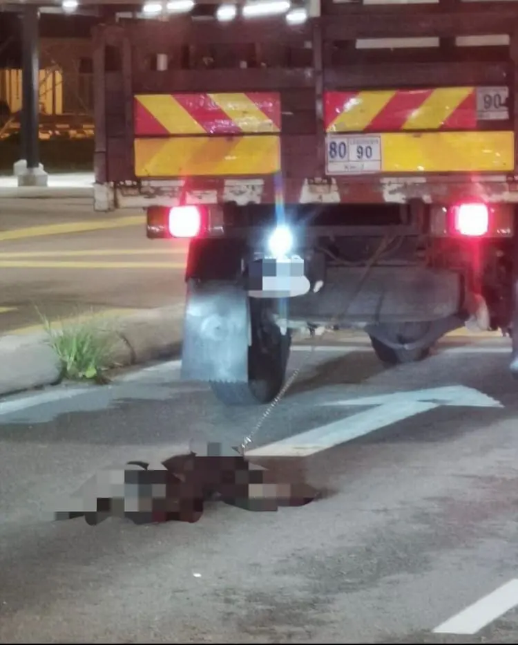 Dog Gets Dragged Behind A Lorry In Serdang, Netizens Demand Action & Justice For It