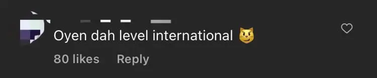 American Man Spots Ginger Cat In His Backyard & Calls It 'Oyen', Amuses M'sian Netizens comment 1