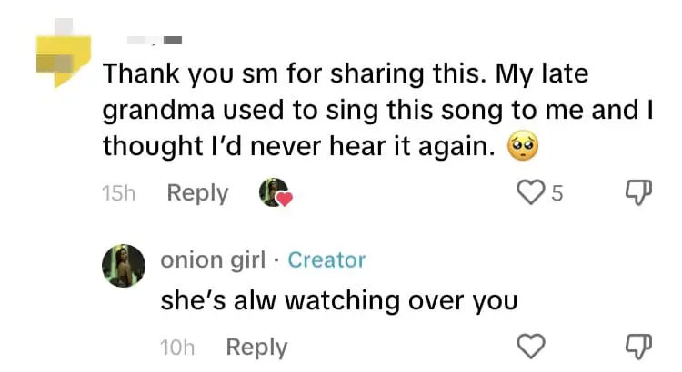 SG Grab Driver Sings Canto Song For Passenger With Guitar While At A Red Light comment 4