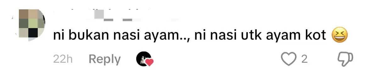 M'sian Woman Pays RM8 For Chicken Rice But Finds No Chicken Inside comment 3