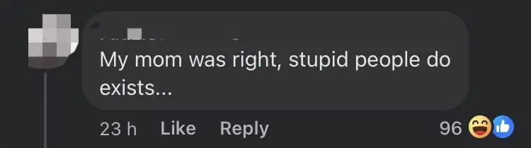 M'sian Slams Pizza Store For Not Sending Order After 1 Week, But Turned Out She Chose Pickup comment 3