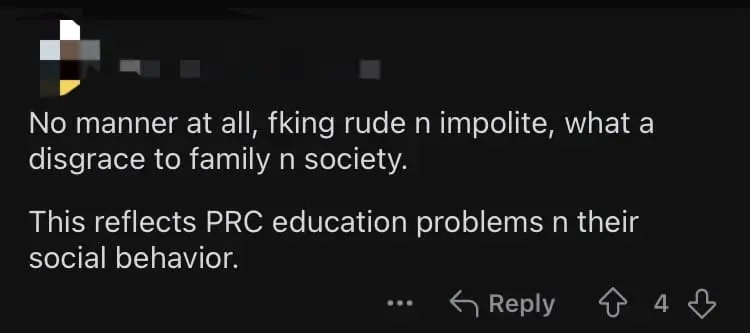 'Balik China Lah!' — M'sian Chinese Tells Off China Tourist Who Cut Queue At KL Pop Mart comment 4