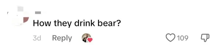 M'sians Eat Cats And Dogs? Aussie TikToker Claps Back At Online Troll Over Ridiculous Claim comment 3