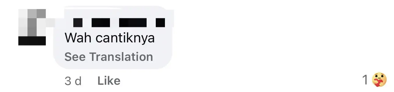 "Magnificent"- Netizens Stunned After Witnessing Glowing Rainbow At Mount Kinabalu comment 2