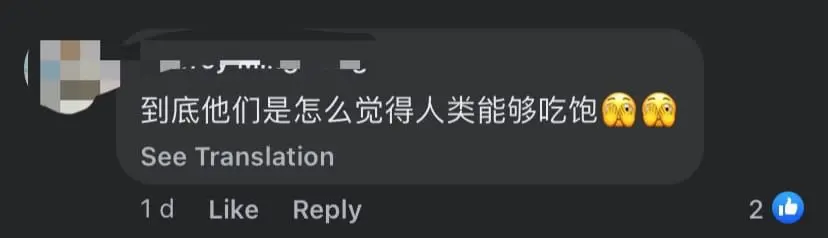 Chinese M'sian Woman Infuriated Over Her Small Portion Of RM9 Meal