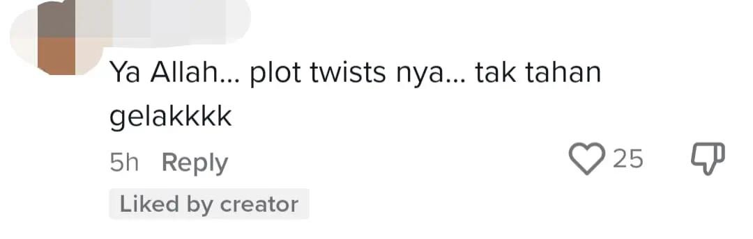 M'sian Woman Wishes To Sit Beside Handsome Turkish Man, Ends Up Having A Dog As Her Companion comment 4