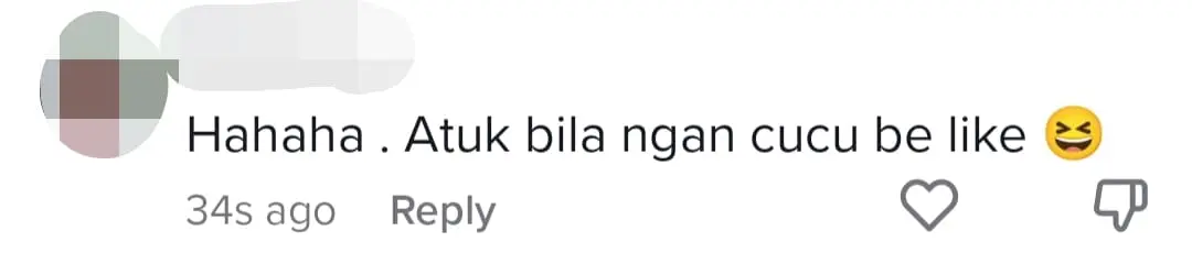 PM Datuk Anwar Shares Video of Him Playing With Granddaughter, Stirs Netizens' Emotions