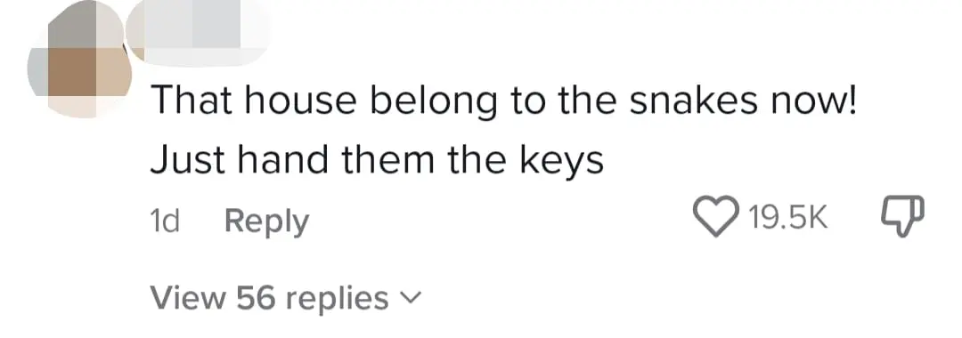 2 Giant Pythons Cause Ceiling To Crumble Like Dust, Shocks Bentong Family comment 2