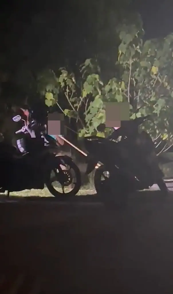 Injured Dog Beaten To Death By 2 Men In Penang After It Got Hit By A Motorcycle