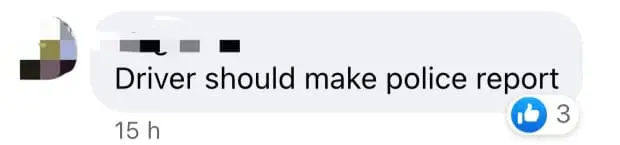 M'sian Woman Refuses To Pay And Beats Grab Driver Who Didn't Stop At Petrol Station On The Way Home comment 3