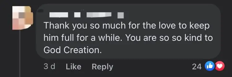 M'sian Woman Praised For Feeding Fried Chicken To Hungry Stray Dog comment 3