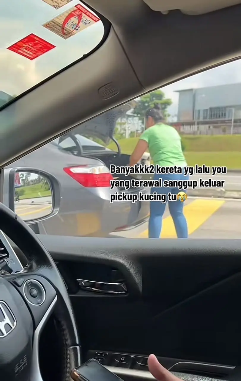 Msian woman keeping the dead cat in the bonnet
