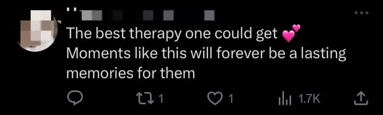 Anwar Has Pillow Fight With His Grandkids And Our Hearts Are Melting Already comment 1