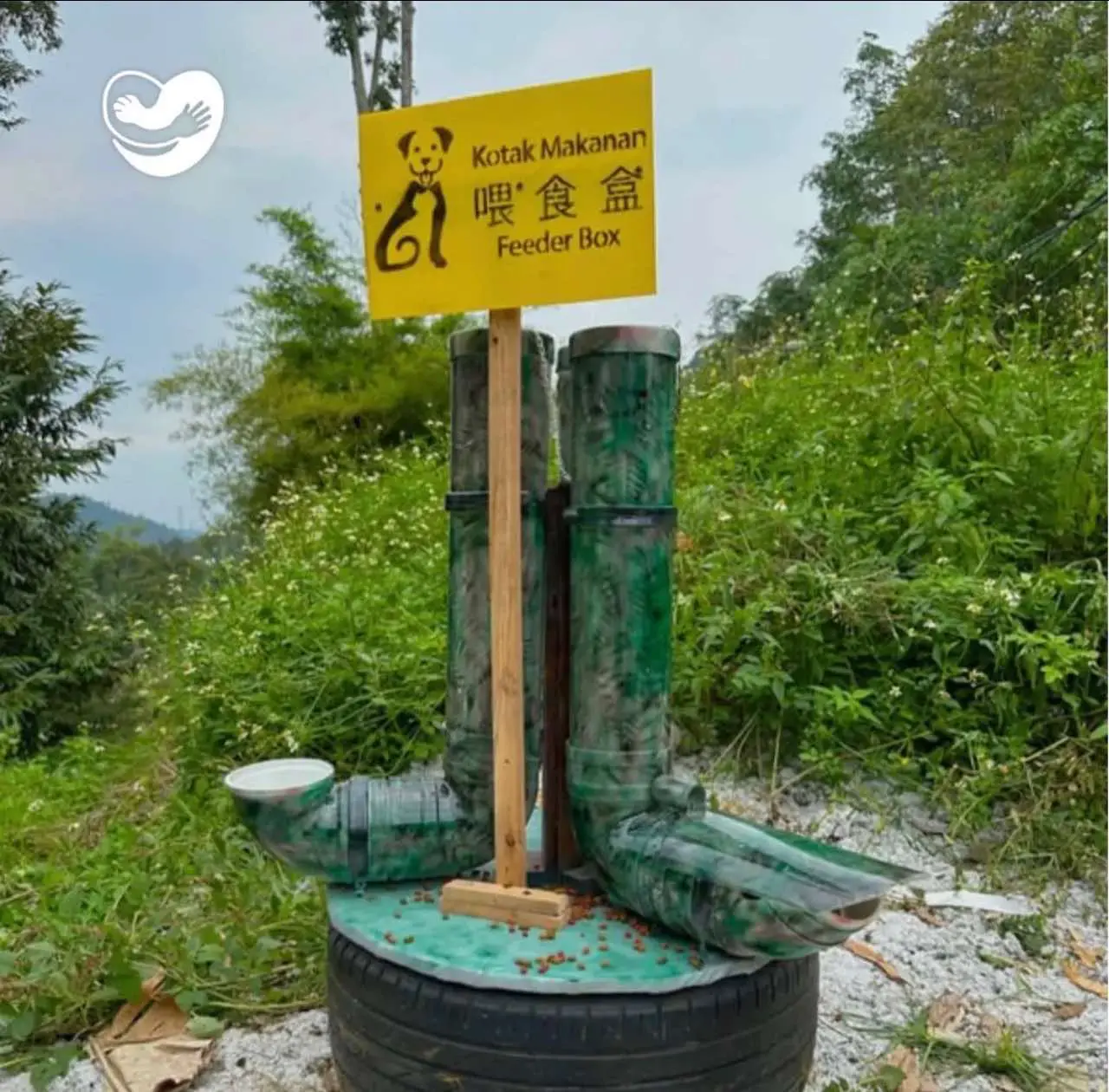 Stray feeding self feeder done by NGO