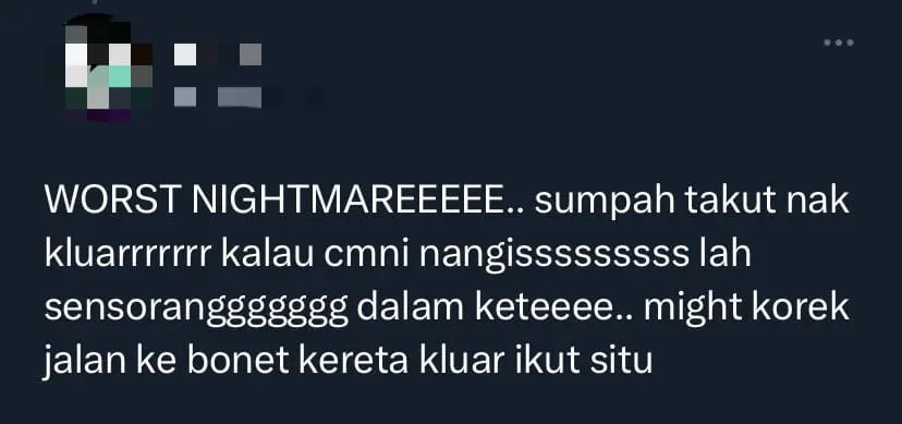 M'sian Couple Keep Their Cool Over Giant Python Which Was Crawling On Car Windshield comment 2