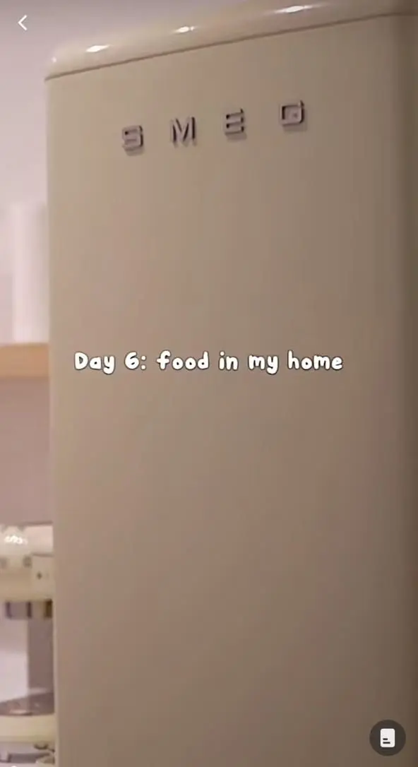 Influencer Syamimia's SMEG fridge