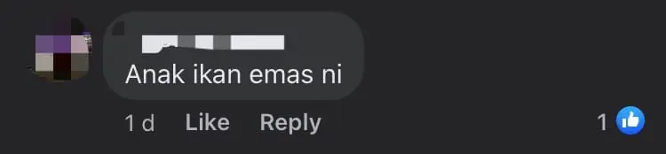 M'sian Man Stunned Over Being Charged RM8 For Rice And Ikan Bilis comment 2