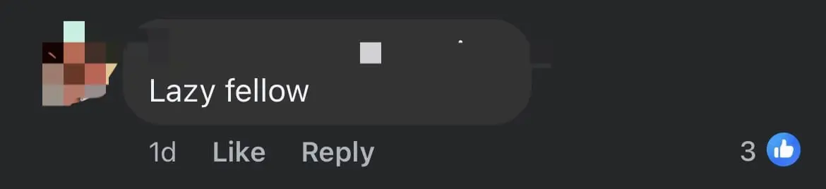 'I'm Human, Not An Animal' — SG Man Slams Delivery Rider For Putting Food On The Floor comment 2