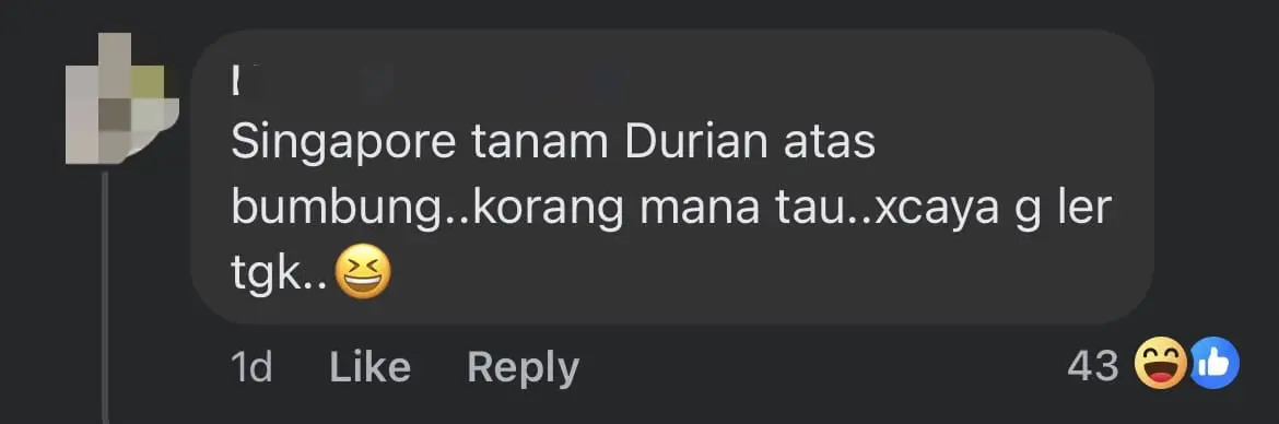 'Did It Grow On The Roof?' — M'sians Mock Poster Which Named Durian As Singapore's National Fruit comment 1