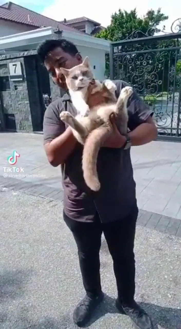 Anwar Ibrahim's Cat Named Billy Warms The Hearts Of Reporters & Netizens