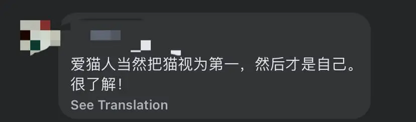 "I Only Care About My Cat" — Penang Woman Rushes To Cat's Aid After Crashing Her Car In An Accident