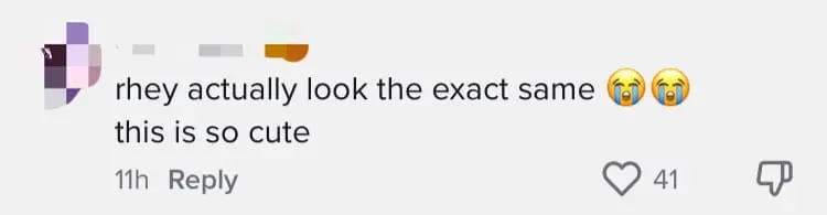 M'sian Woman & Guinea Pig Amuse Netizens With Their In Sync Reaction To Fireworks comment 2